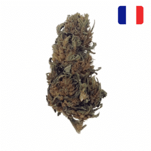 fournisseur fleur CBD super skunk