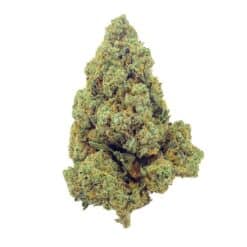 Amnesia Haze CBD - Bud Mix - Indoor-Hydro
