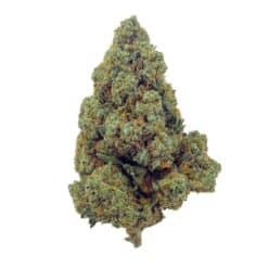 Amnesia Haze CBD - Bud Mix - Indoor-Hydro