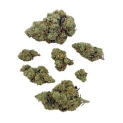 Grossiste de Fleur - Amnesia Haze CBD - Bud Mix - Indoor-Hydro
