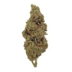 Og Kush CBD - Bud Mix - Glass-House