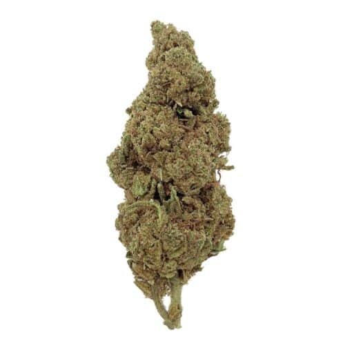 Og Kush CBD - Bud Mix - Glass-House