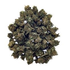 Super Skunk CBD - Small Bud - Green House