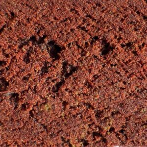 Grossiste CBD Libanais Rouge