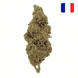 grossiste fleur CBD OG kush