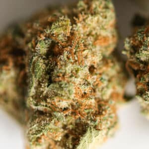 grossiste. de fleur CBD lemon skunk