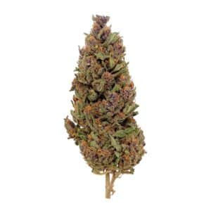 Bubble Gum CBD - Bud Mix - Green-House