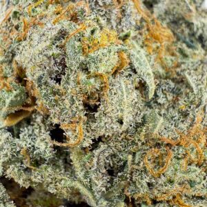 Grossiste Fleur CBD ButterCream Gelato CBD - Big Bud - Indoor Cali