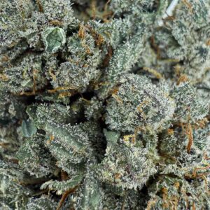 Grossiste Fleur CBD Sour Diesel CBD - Big Bud - Indoor Cali