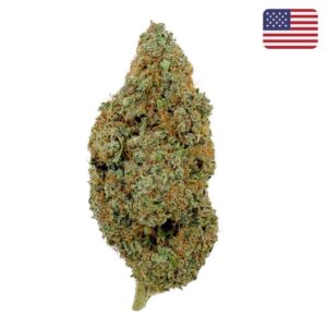 Skywalker OG CBD - Big Bud - Indoor Cali