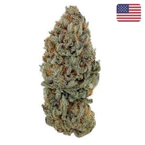 Sour Diesel CBD - Big Bud - Indoor Cali