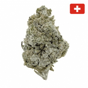 fournisseur fleur CBD charlotte angels crystal indoor